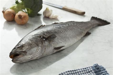 What Is Corvina and How Is It Used?