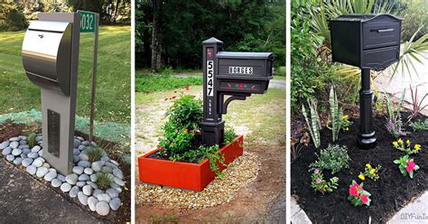 18+ Mailbox Planting Ideas