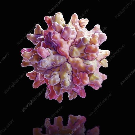 Infectious Bursal Disease Virus, artwork - Stock Image - C020/4200 ...