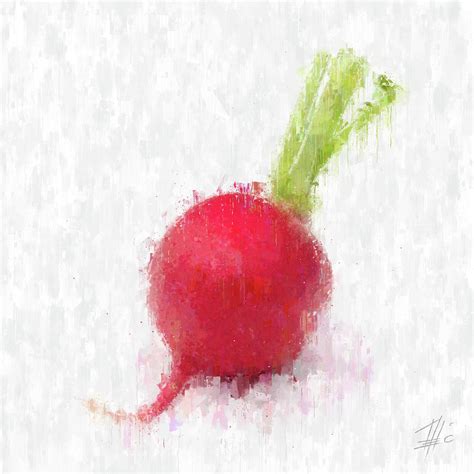 Radish Painting at PaintingValley.com | Explore collection of Radish ...