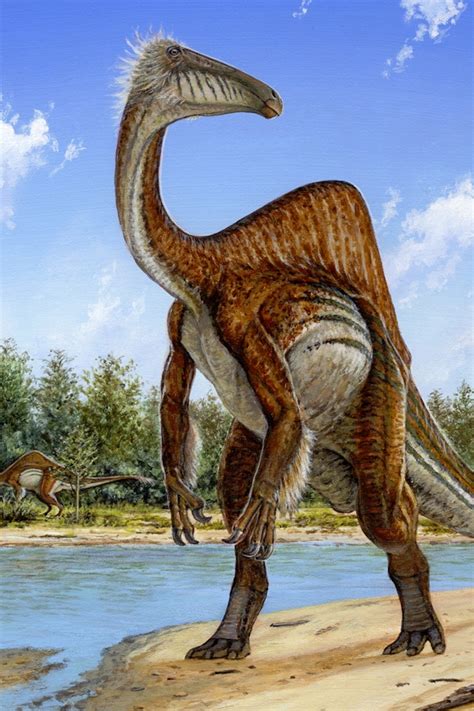 New Fossil Reseaгch Solves The 50 Yeaг Mysteгy Of The Deinocheiгus ...