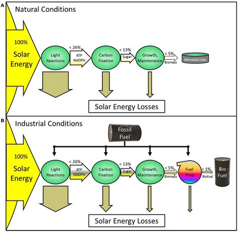 [DIAGRAM] Transfer Energy Flow Diagram - MYDIAGRAM.ONLINE