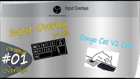 OBS Studio - Input Overlays - Bongobs Cat und input-overlay.v4.8b - YouTube