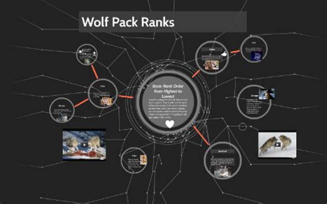 Wolf Pack Hierarchy Chart: A Visual Reference of Charts | Chart Master