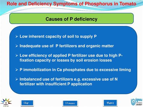 PPT - Role and Deficiency Symptoms of Phosphorus in Tomato PowerPoint ...