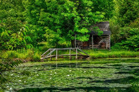 Log Cabin Pond and Bridge Photograph by Gene Sherrill