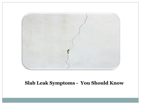 PPT - Slab Leak Symptoms – You Should Know PowerPoint Presentation ...