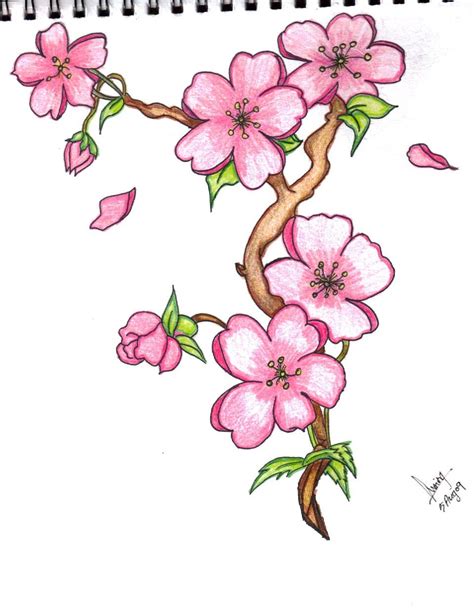 PZ C: flower drawing