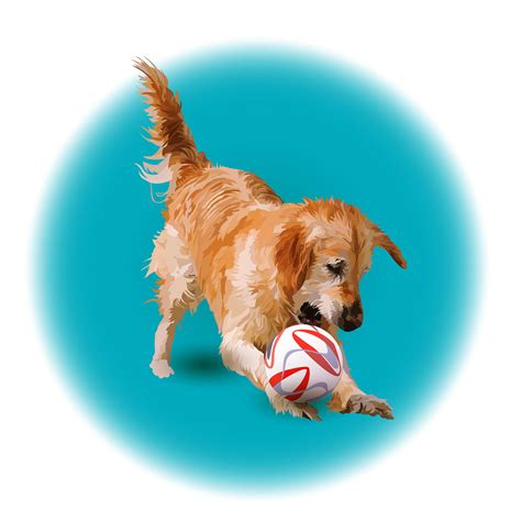 Golden Retriever playing with ball on Behance