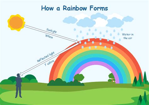 22+ Diagram Of A Rainbow - MarionRobbi