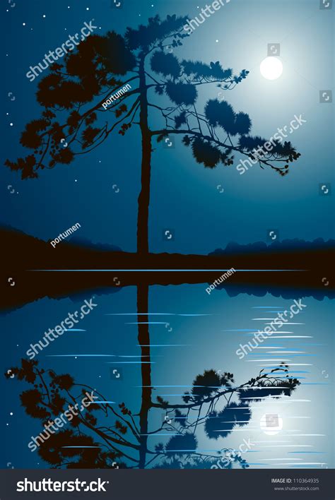 Tree Silhouette Against Night Sky Full Stock Vector (Royalty Free ...