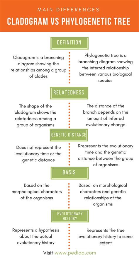 Difference Between Cladogram and Phylogenetic Tree | Definition ...