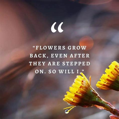 240 Best Flower Quotes: Inspirational Quotes About Flowers