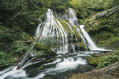 A Forest Paradise at Panther Creek Falls | Aspiring Wild