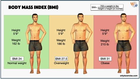 Body mass index (BMI): Find your healthy weight -Why I exercise