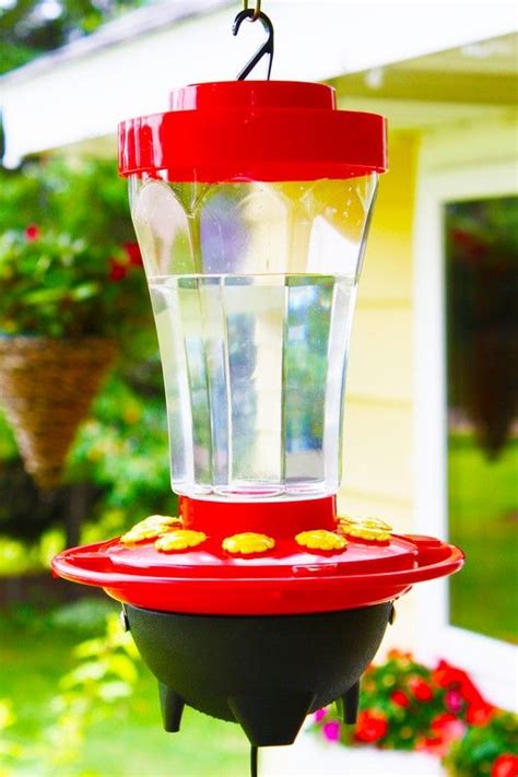 32 oz. Heated Hummingbird Feeder | Humming bird feeders, Hummingbird ...