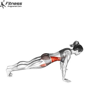 How To: Front To Side Plank - Benefits, Muscles Worked