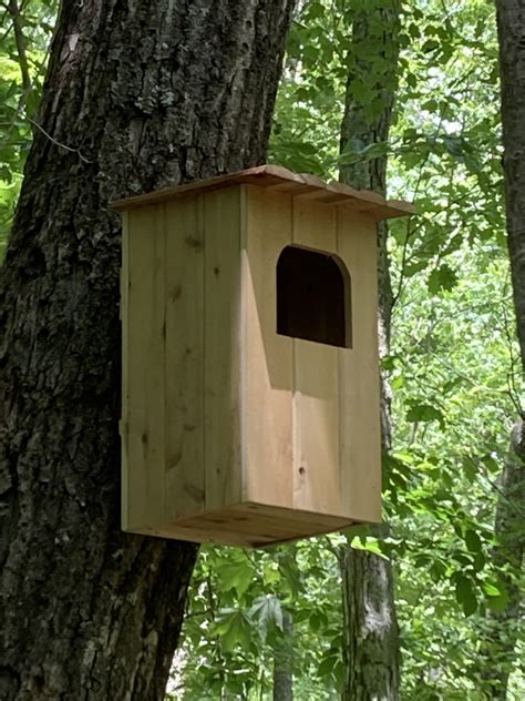 Barred Owl Nest Box Plans: How to Build a Barred Owl House - FeltMagnet