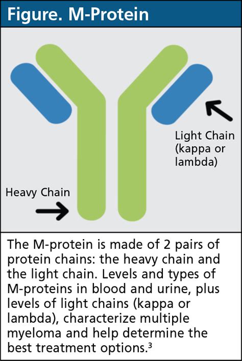 Kappa Light Chain Myeloma Icd 10 | Shelly Lighting