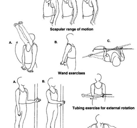 rotator cuff exercises dumbbell Archives - SAMARPAN PHYSIOTHERAPY ...