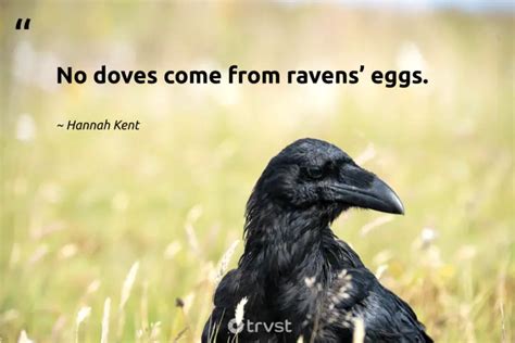 32 Riveting Raven Quotes About Diverse Reputations (2024)