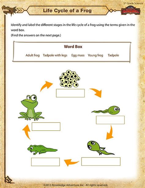 Teach child how to read: Free Printable Mammal Life Cycle Worksheet