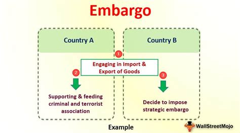 Embargo (Definition, Types) | How Embargo Works?