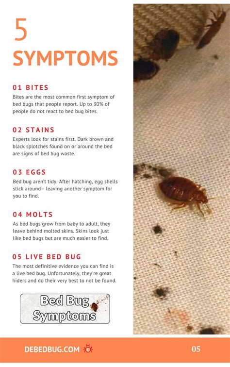 5 Signs Bed Bugs Leave Everywhere They Go | Debedbug