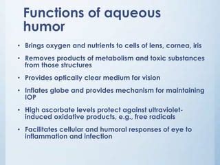 Physiology of aqueous humor | PPT