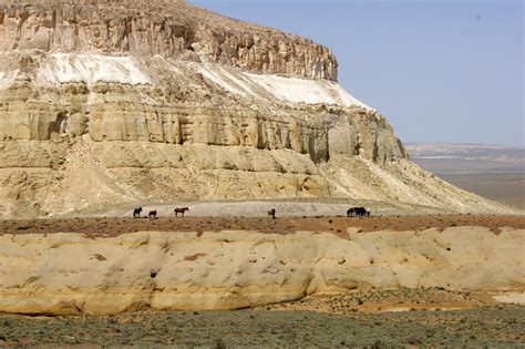 THE 15 BEST Things to Do in Aktau (2024) - Must-See Attractions