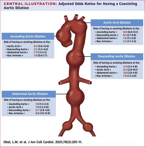 Population-Based Risk Factors for Ascending, Arch, Descending, and ...