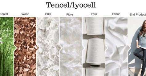 Sustainability in textile: What you need to know about Tencel, the ...