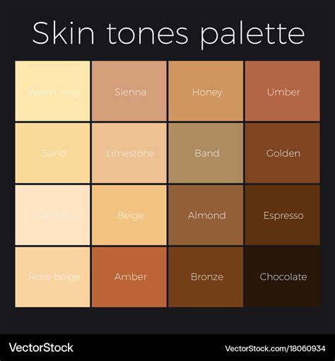 Skin tones palette Royalty Free Vector Image - VectorStock