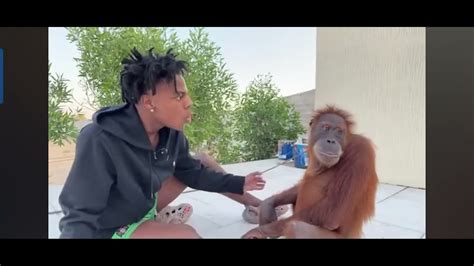 Ishowspeed meets a intelligent monkey @IShowSpeed watch this😂 - YouTube