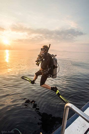 6 Reasons to experience Night Diving in Koh Tao