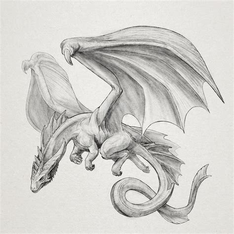 Flying Dragon Drawings In Pencil