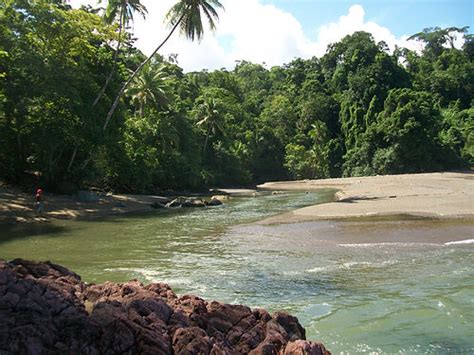 Rio Claro River Tours | Costa Rica | Osa Peninsula | Drake Bay