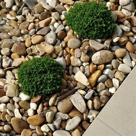 Decorative Rock Landscaping Pictures | Shelly Lighting