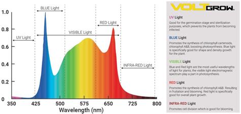 Understanding the Light Spectrum of LED Grow Lights