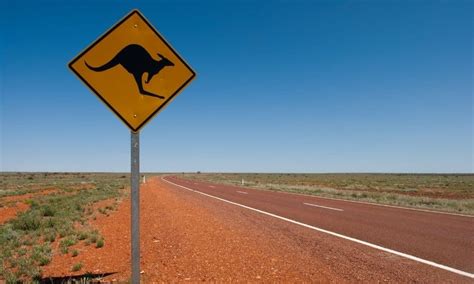 Australian Road Signs And Meanings Guide 2023 | TTFS | Blog