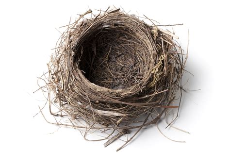 Pics Photos - Empty Nest Quotes Empty Nest Quotes Sayings Empty Nest