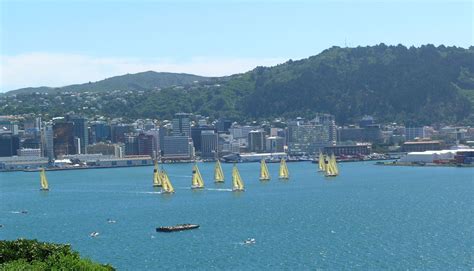 Wellington Harbour | Island, Wildlife & Boating | Britannica