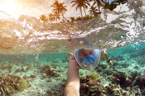 Premium Photo | Snorkeling near a tropical island young man swims in ...