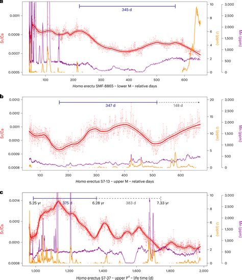 Time-resolved compositional EDJ profiles for all investigated H ...