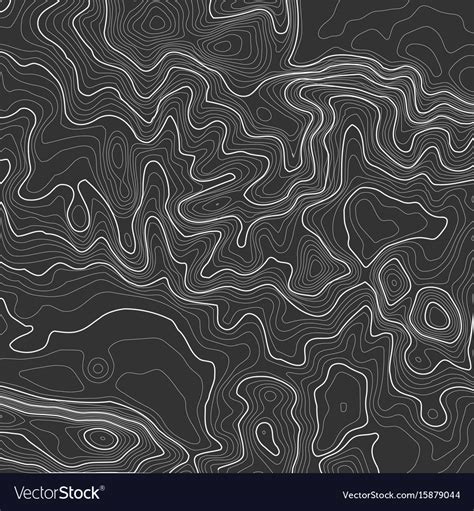 Topographic map background with space for copy Vector Image