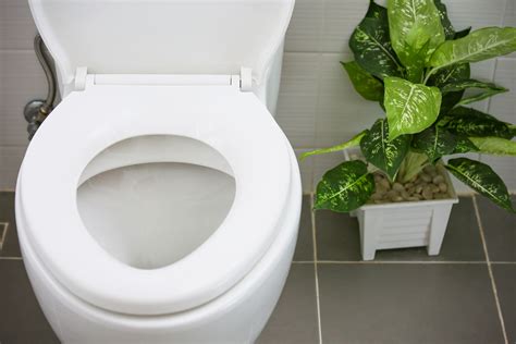 5 Benefits of Using a Low Flow Toilet | Quality Plumbing Services Inc.