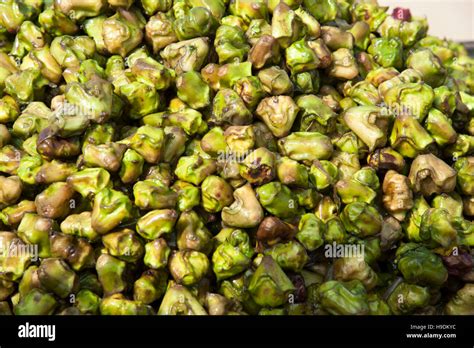 Singhara Water chestnuts at Pushkar Rajasthan India Stock Photo - Alamy