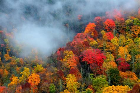 Gatlinburg Fall Foliage Report – Mid-October – Inside Gatlinburg TN ...