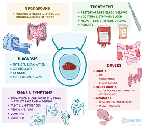 Hematochezia: What Is It, Causes, Signs, Symptoms | Osmosis