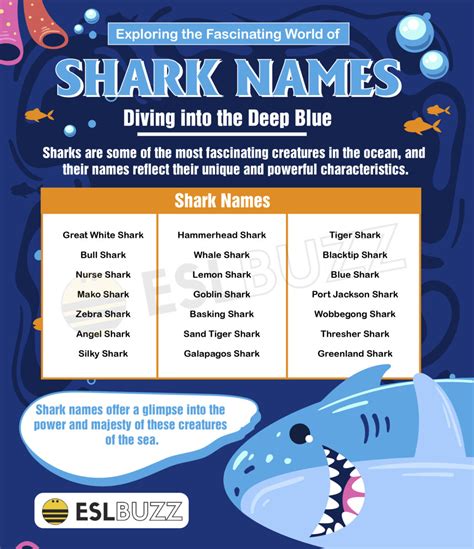 Shark Names: Learn These Amazing and Unique Monikers for Learning and ...